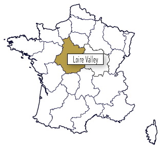 Domain TROTEREAU - Pierre Ragon / Loire Valley